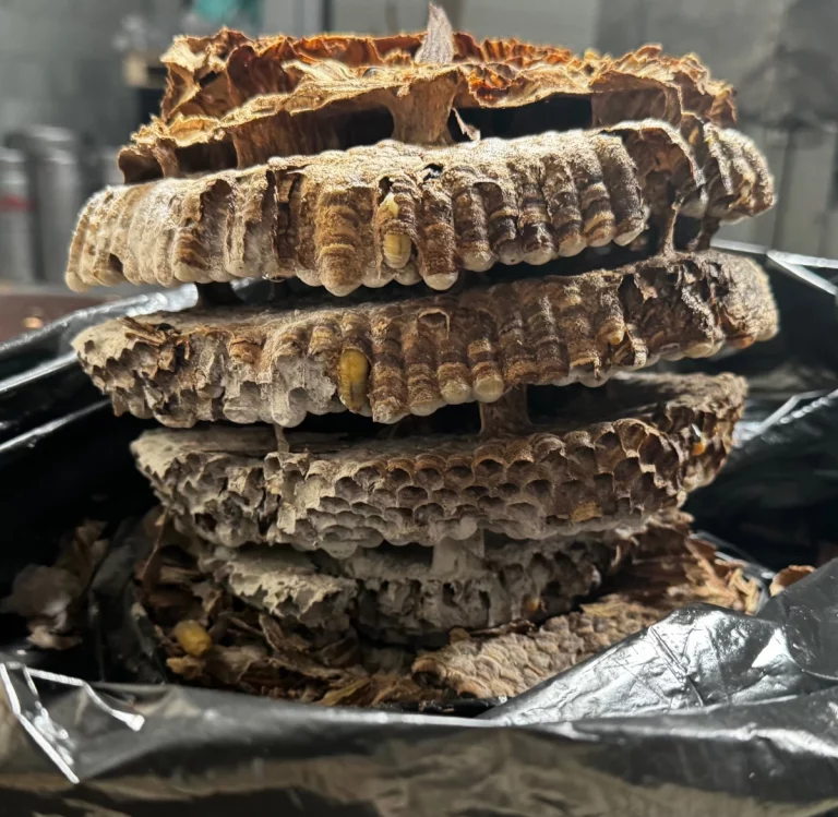 anh services destruction nid 768x749