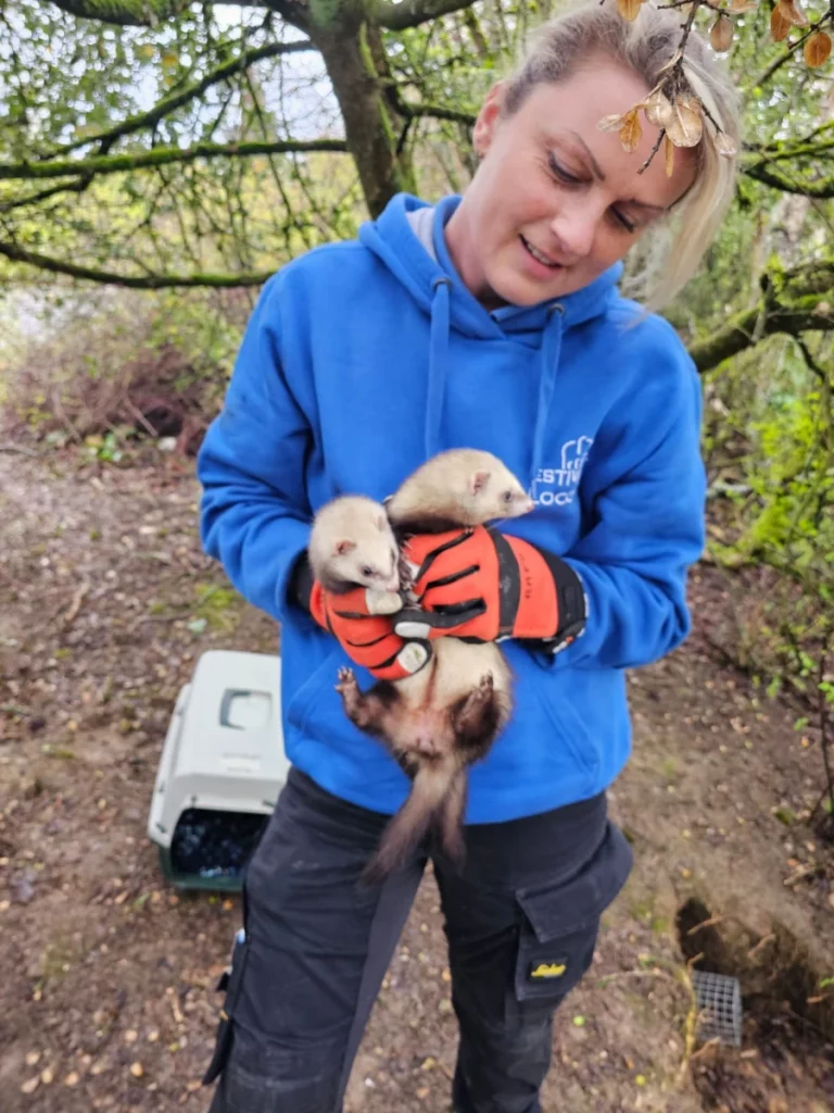 furetage estivalet 768x1024