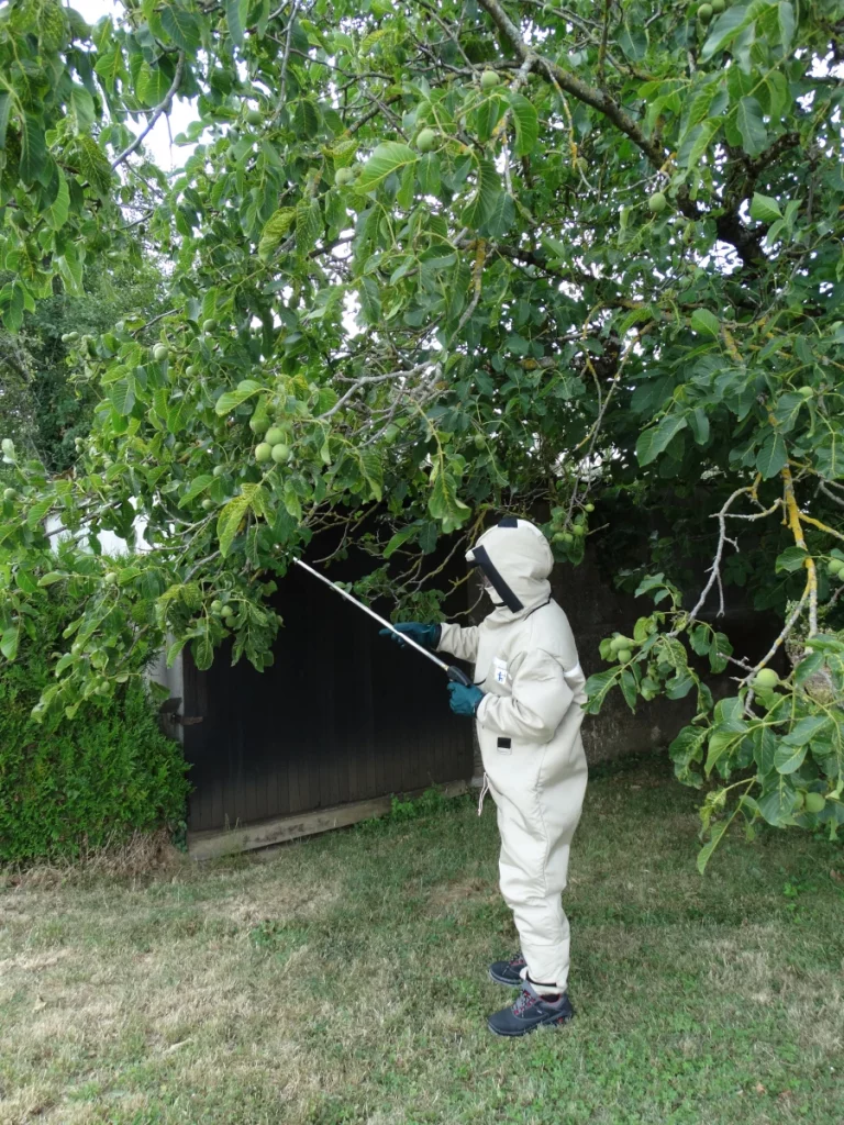 intervention guepes estivalet 768x1024