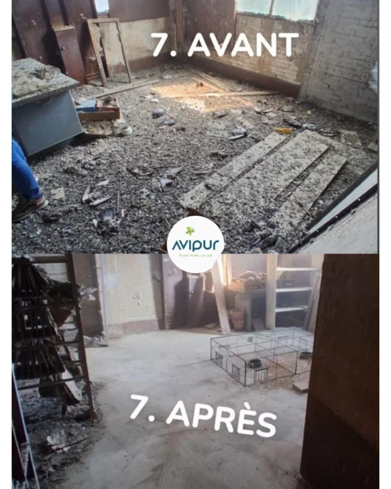 avant apres avipur picardie 768x960