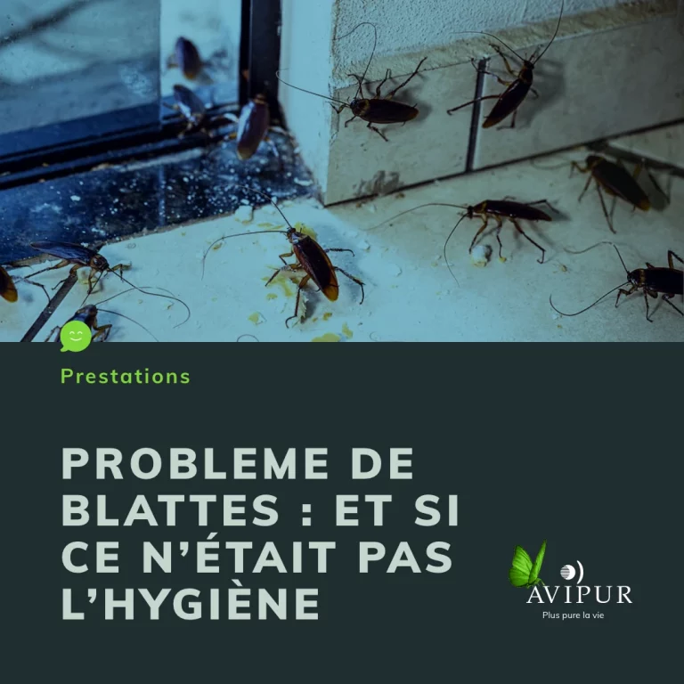 avipur ile de france est blattes 768x768