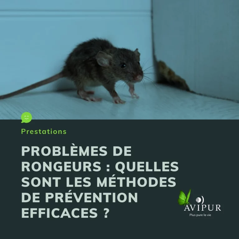 avipur ile de france est souris 768x768