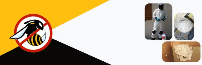 banniere dc nuisibles 768x248