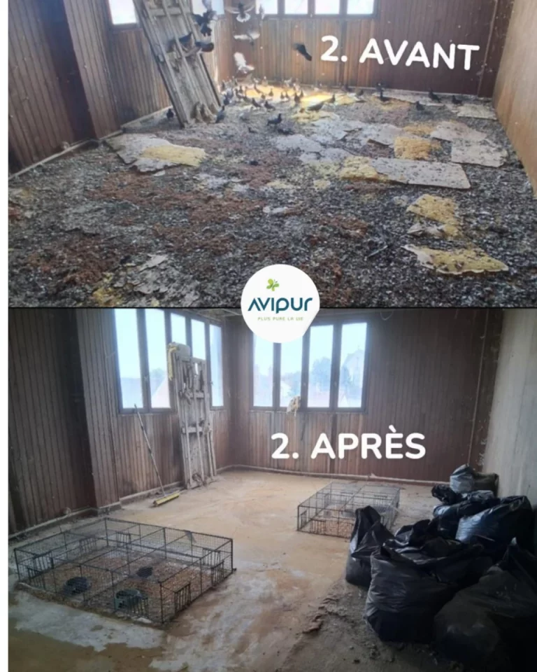 chantier avant apres avipur picardie 768x960