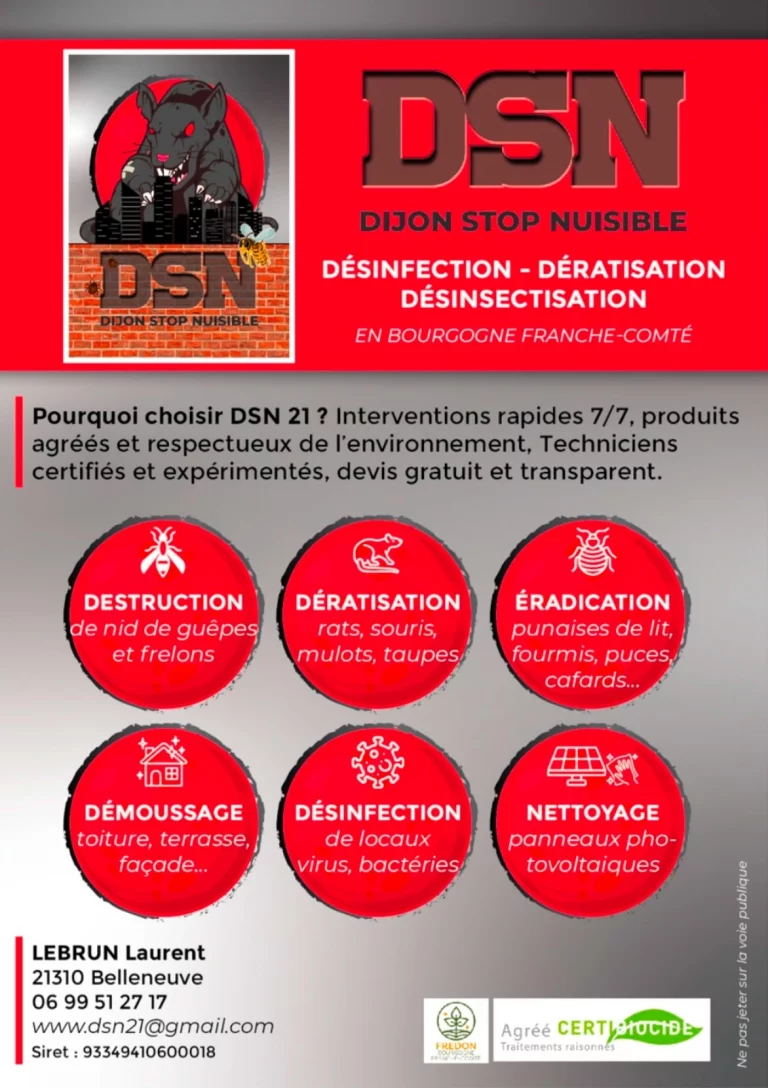 flyers dsn 21 768x1088