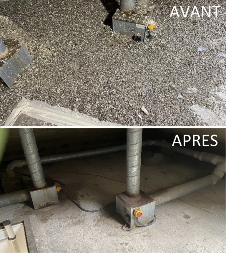 halvea depigeonnage avant apres 768x861