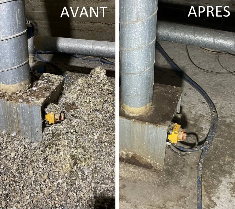 halvea depigeonnage avant apres intervention 768x683