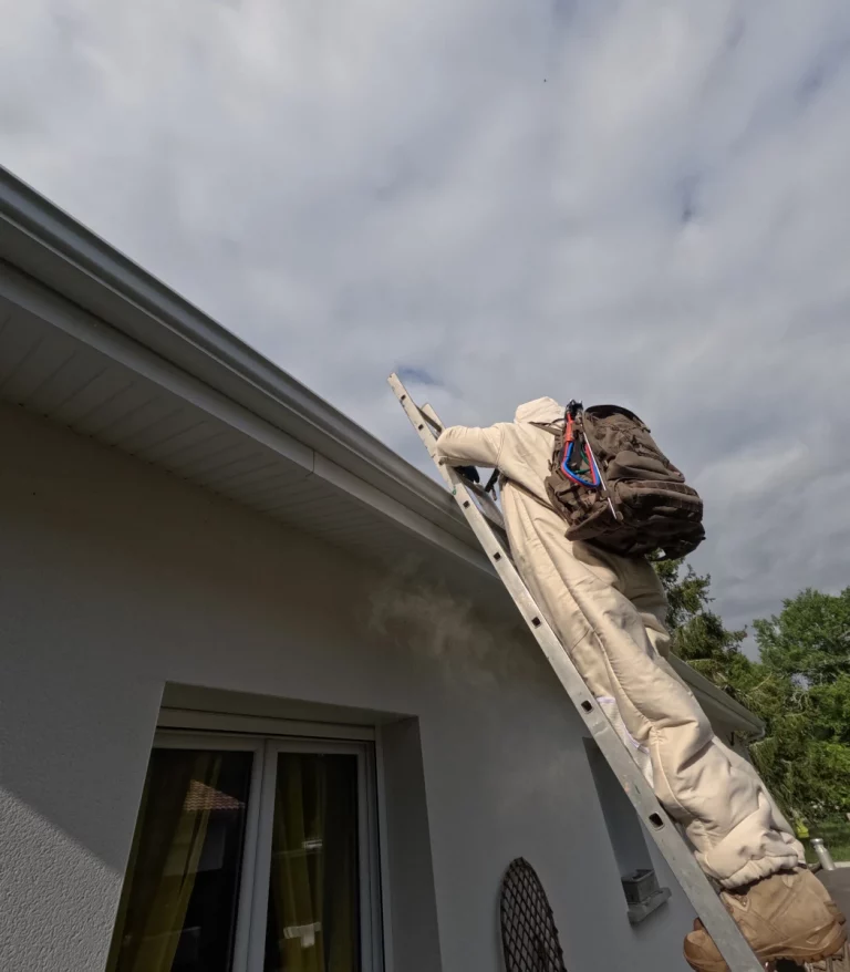 intervention bio pique 768x878