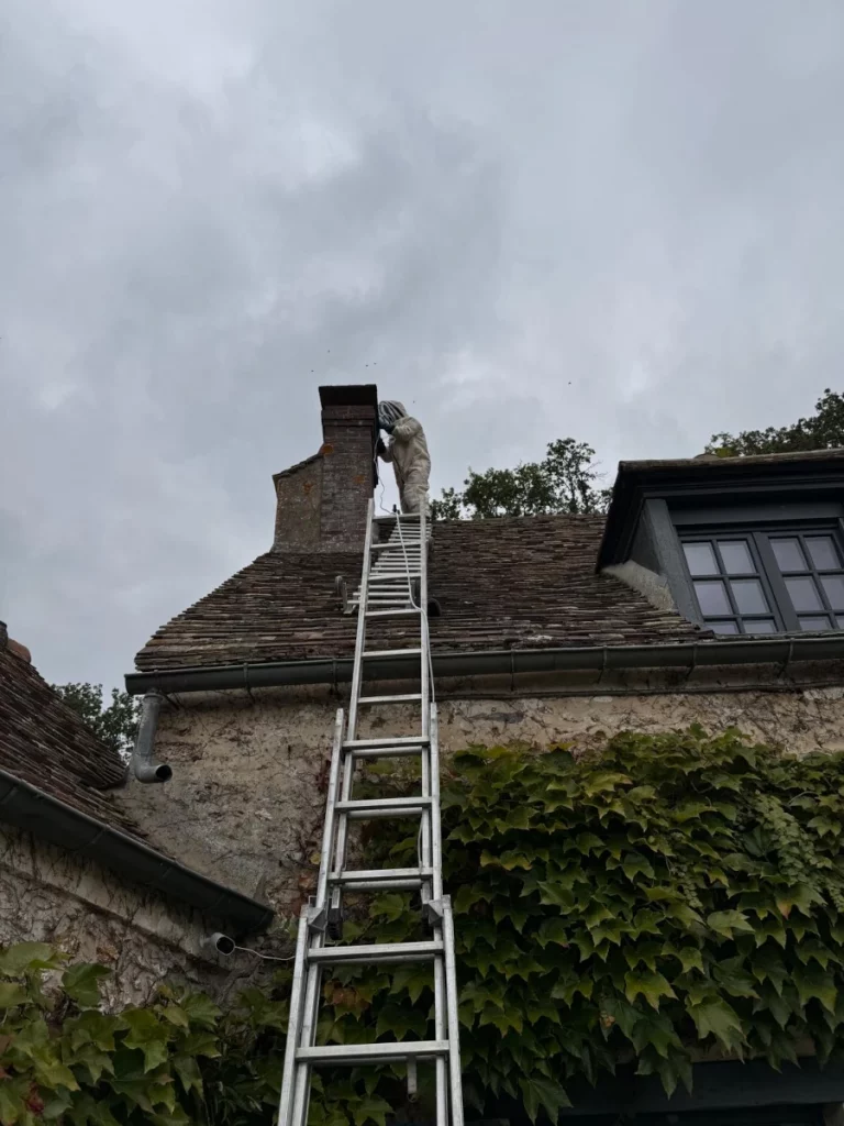 intervention frelons europeens 768x1024