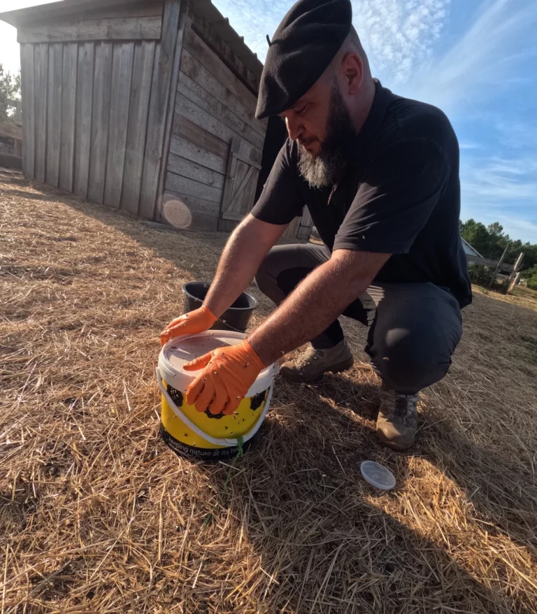 mis en place piege insectes 768x878