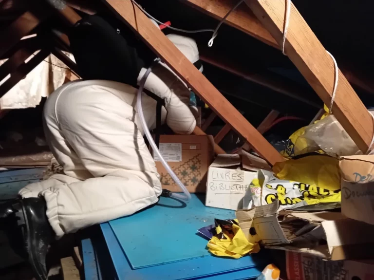 nid frlons combles 768x575