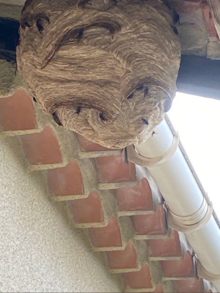 nid gard anti nuisibles 768x1024