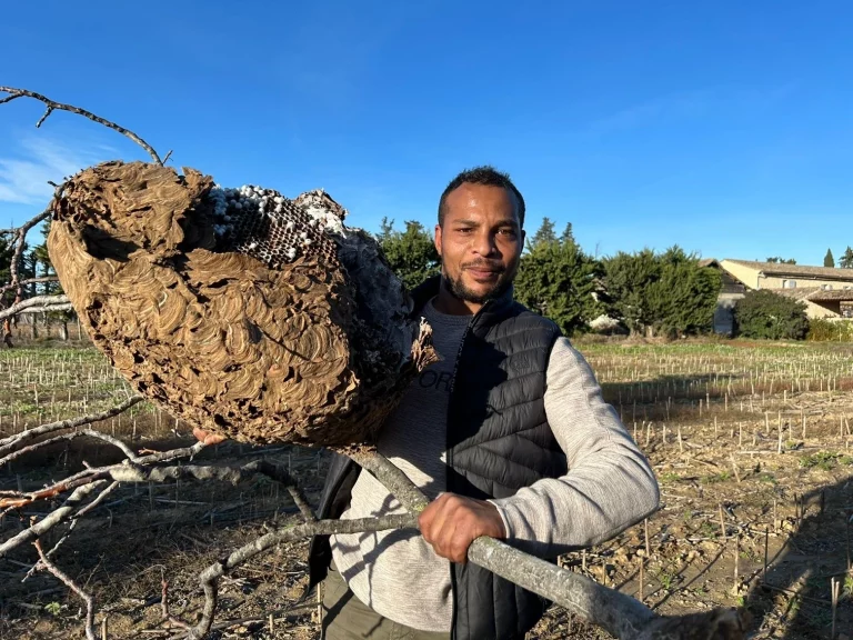 nid gkmastop 30 768x576