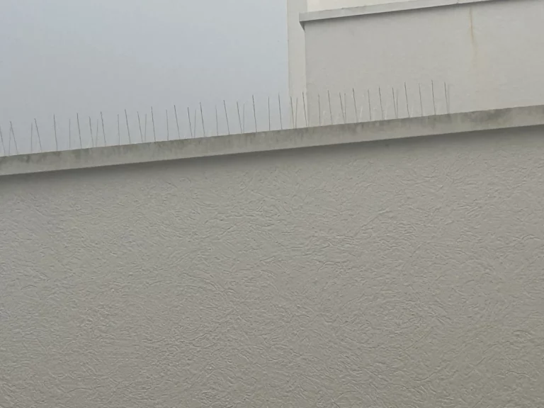 piege volatile 768x576