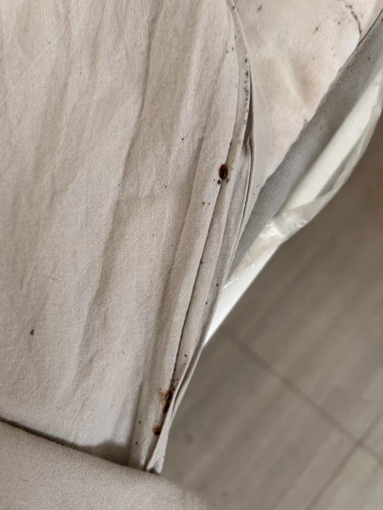 punaises lit 768x1024