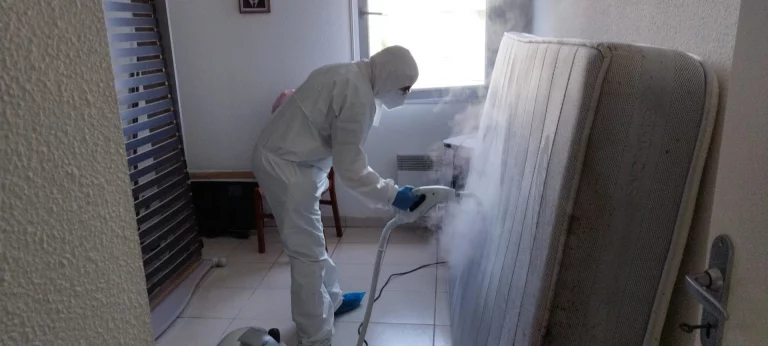 traitement axium 82 768x346