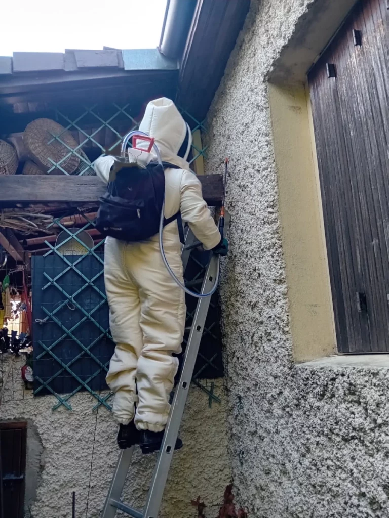 traitement nid guepes 768x1024