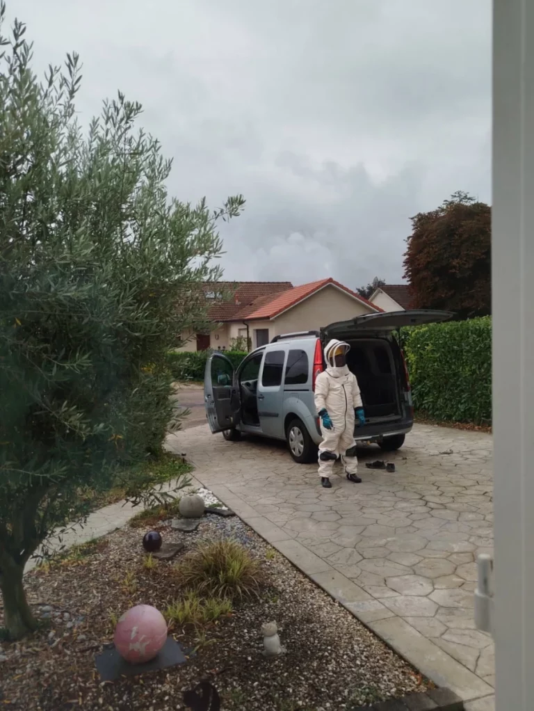 vehicule dsn 21 768x1022