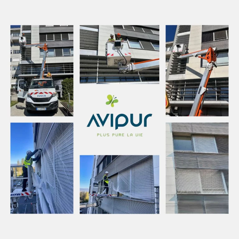 avipur 2 savoie pigeons 768x768