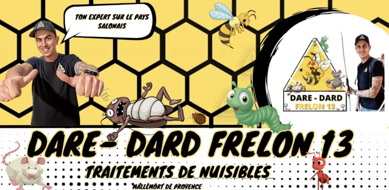 banniere dare dard frelon 13 768x376
