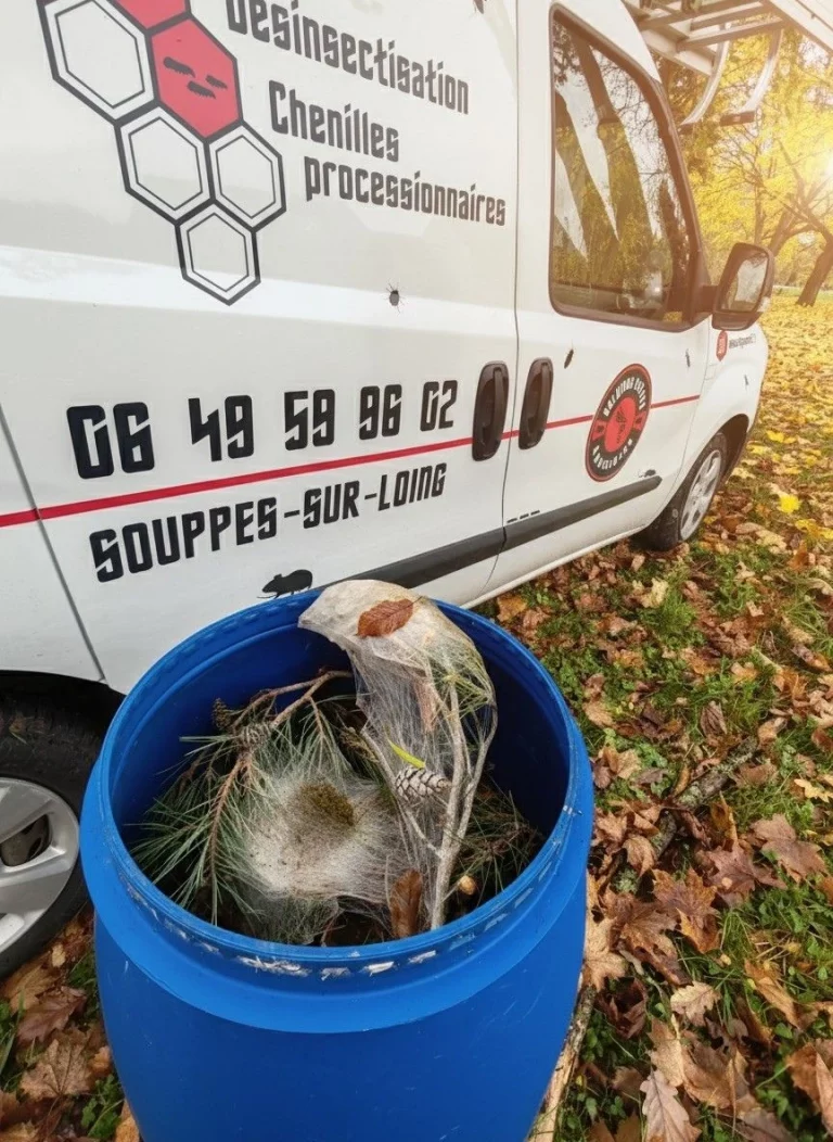 chenilles solution guepes nuisibles 768x1052