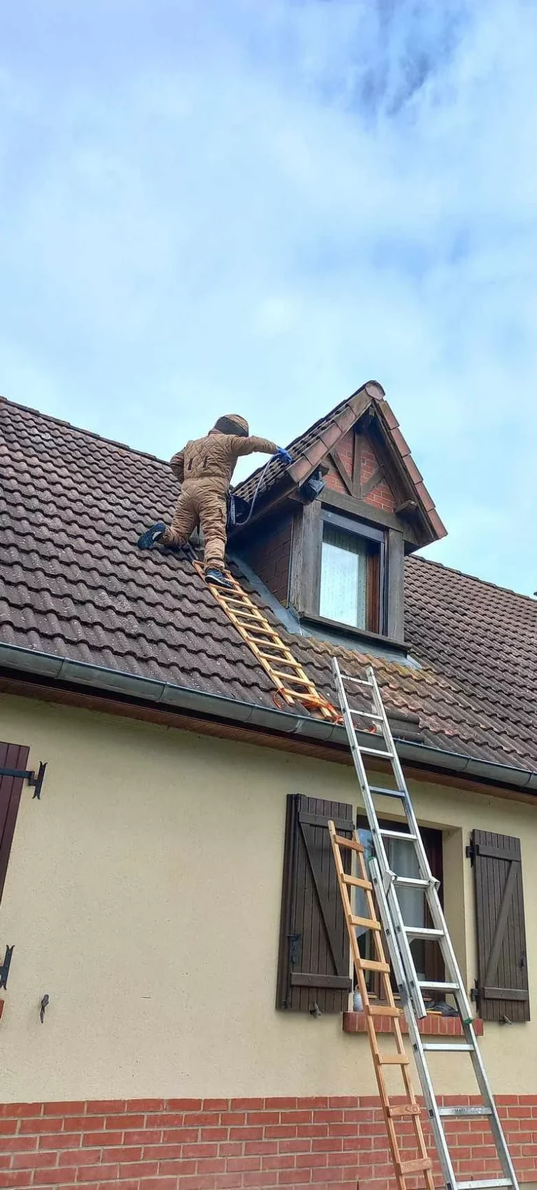 destruction nid atout piques 768x1703