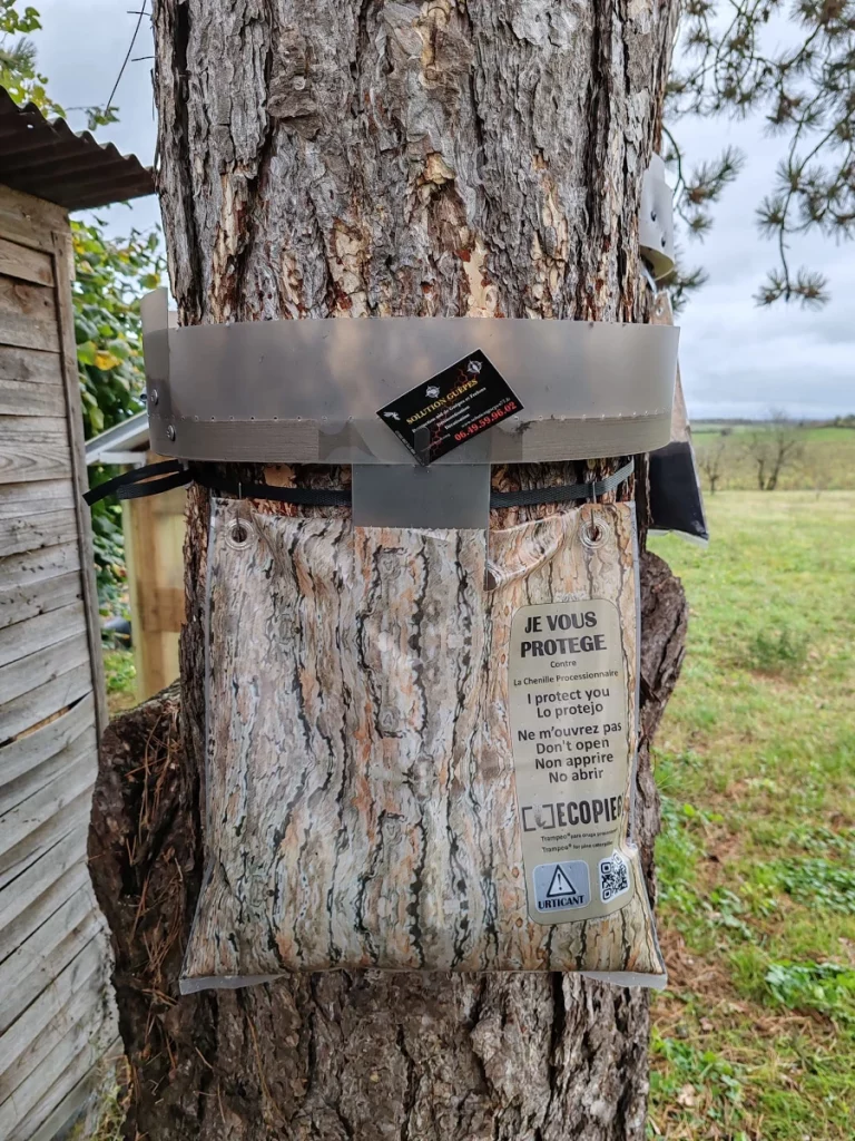 eco piege solution guepes nuisibles 768x1024