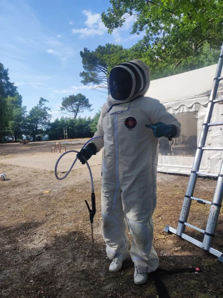 fcg desinsectisation nid frelon 768x1027