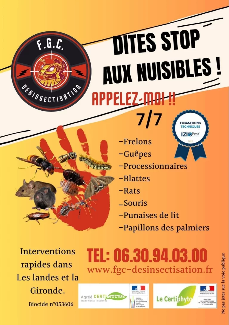 flyer fcg desinsectisation 768x1090
