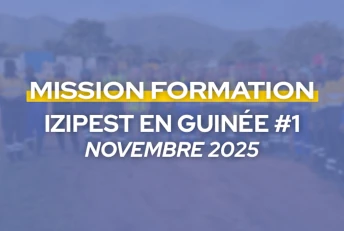 IZIPest en Guinée
