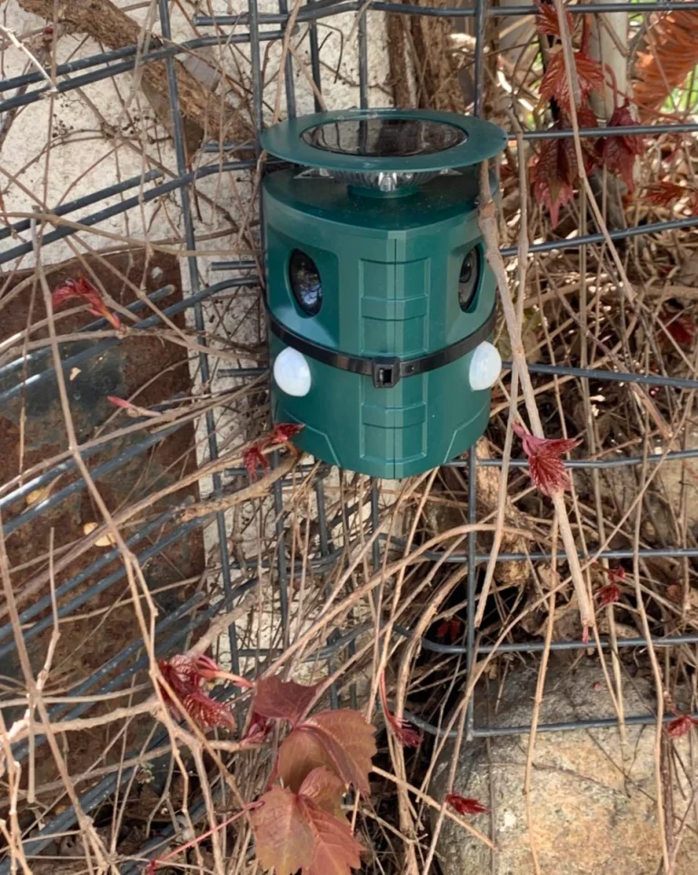 piege hygiene insectes 768x962