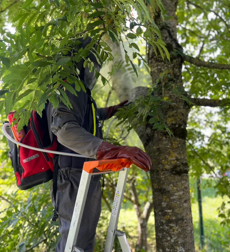 technicien avipur 2 savoie 768x843