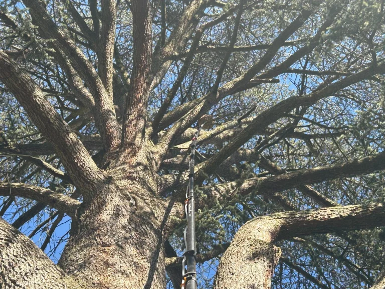 technicien frelon 74 768x576