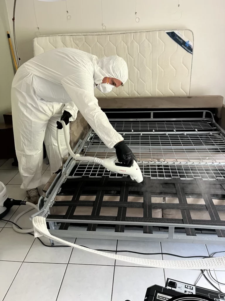 traitement nuisibles fcg desinsectisation 768x1024