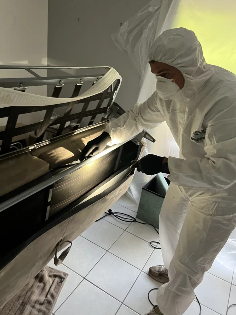 traitement punaises lit fcg desinsectisation 1 768x1024