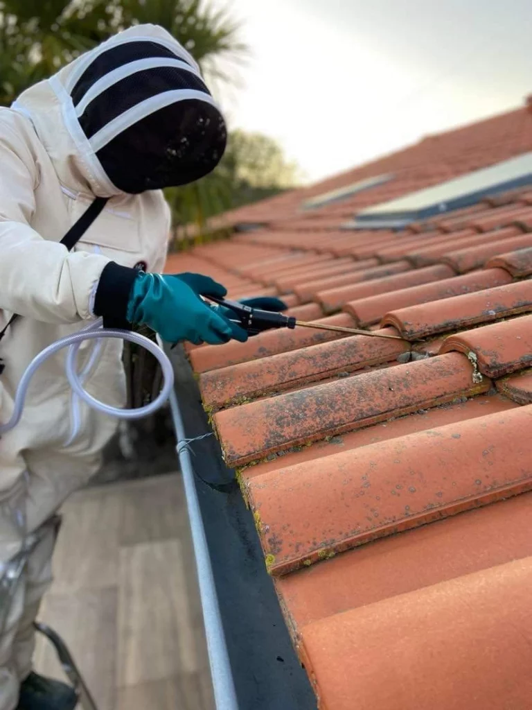 traitement sous tuiles 768x1024