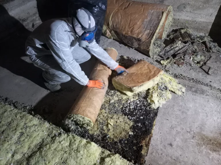 anti nuisibles services intervention 768x576