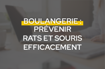 Prévenir les rongeurs en boulangerie
