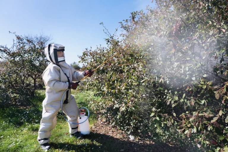 intervention pulverisation erapure 1 768x513