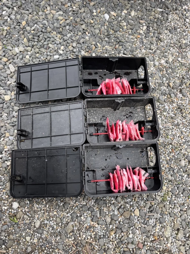 boite rongeurs lr nuisibles 768x1024