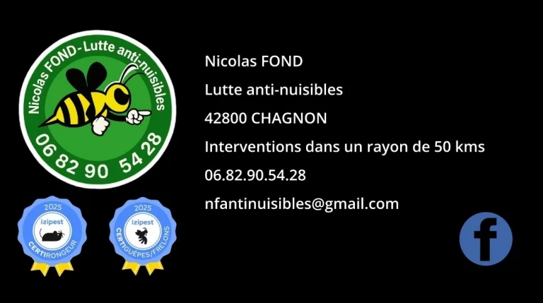 carte visite nicolas fond lutte anti nuisibles 768x429