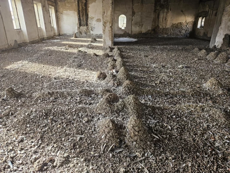 chantier lr nuisibles 768x576