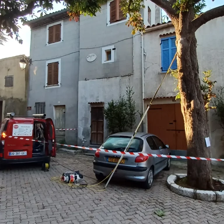 destruction nid frelons guepes 768x768