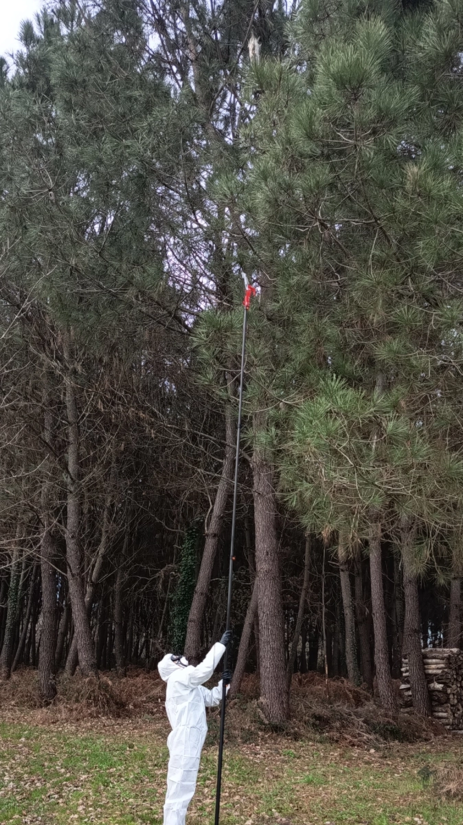 intervention technicien sos befree