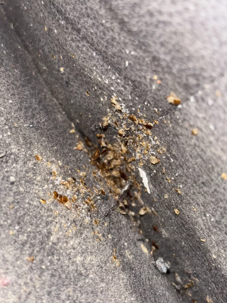 lr nuisibles intervention 768x1024