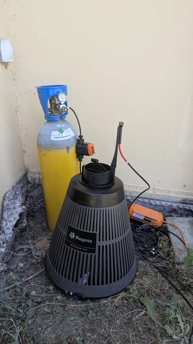 moustiques tigre afs service