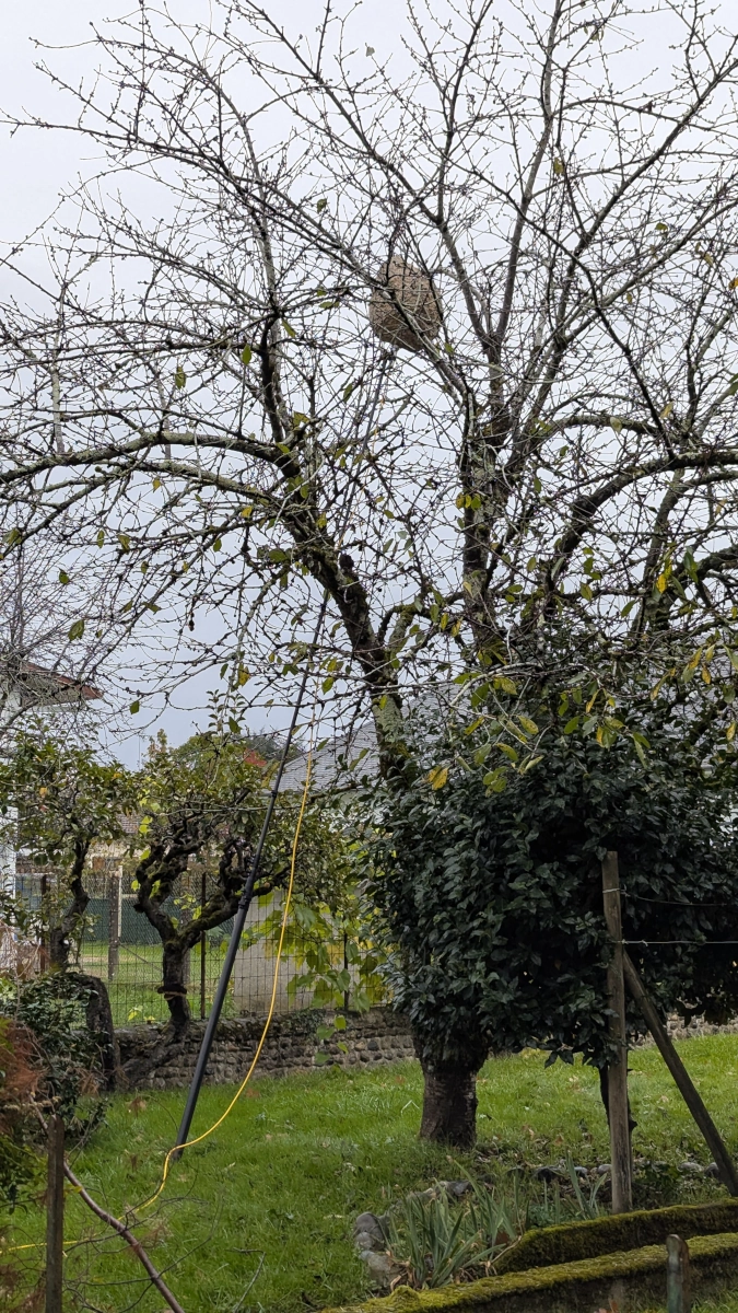 nid frelon afs service