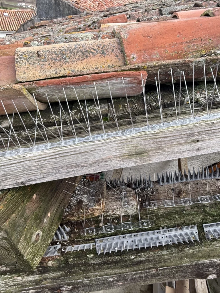 piege volatiles lr nuisibles 768x1024