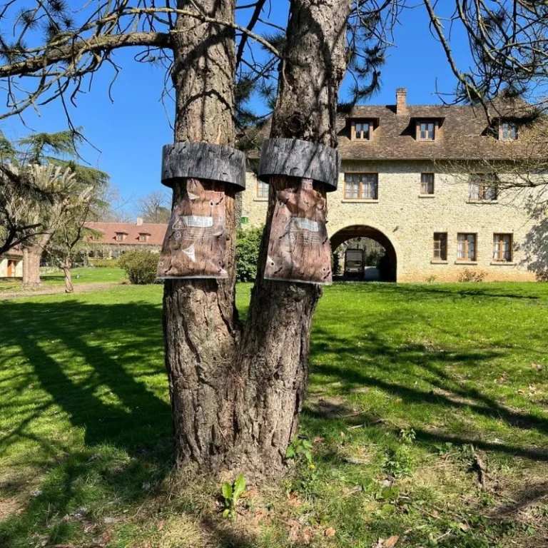 pineprotect cerclage pin 768x768