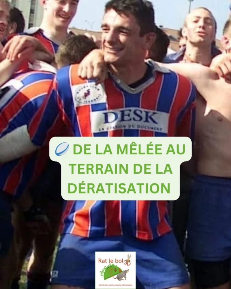 rat le bol 3d franck garnier 1 768x960